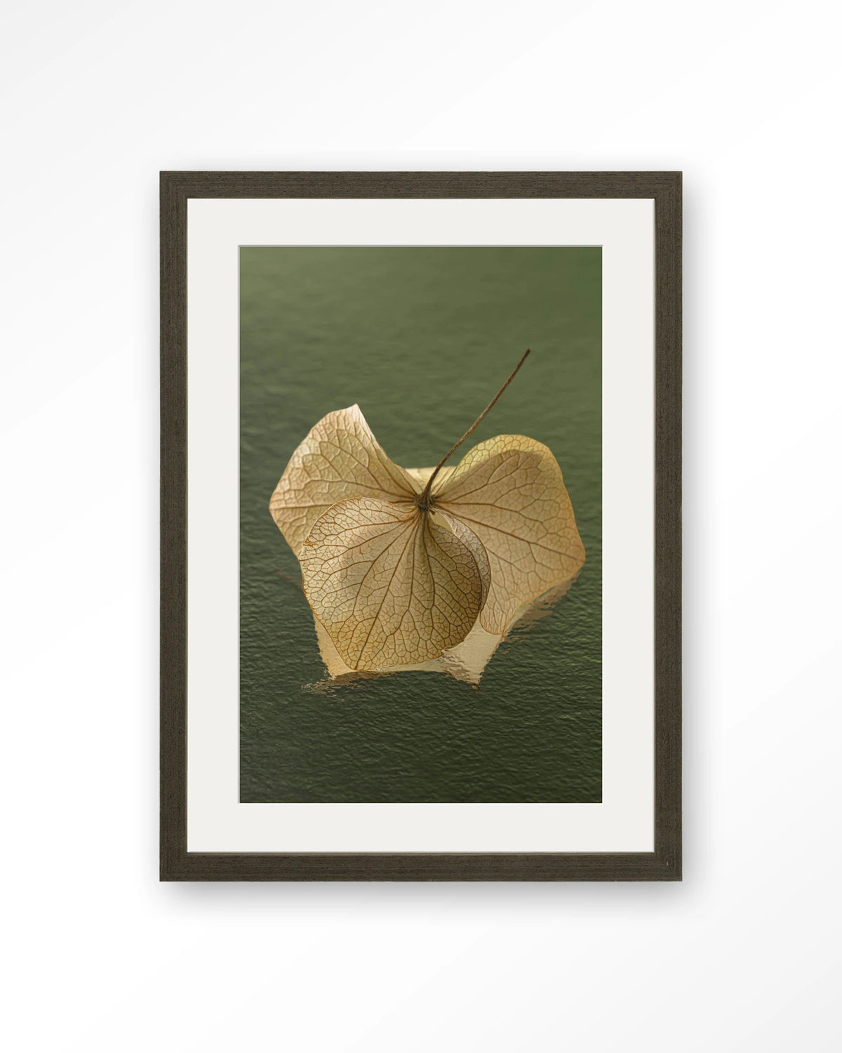 Leaf Me: In The Green – gedroogd blad op groene achtergrond – Art print – Hout donkerbruin + passe-partout