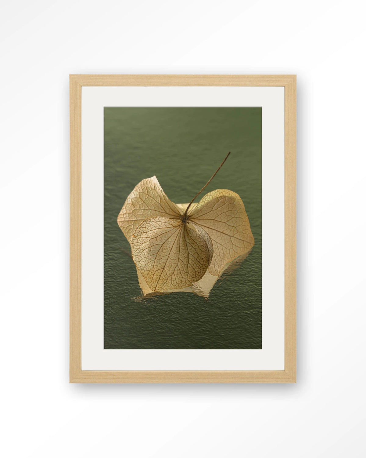 Leaf Me: In The Green – gedroogd blad op groene achtergrond – Art print – Hout naturel + passe-partout