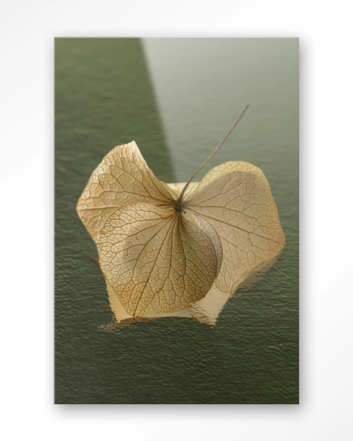 Leaf Me: In The Green – gedroogd blad op groene achtergrond – Glas – Blinde montage