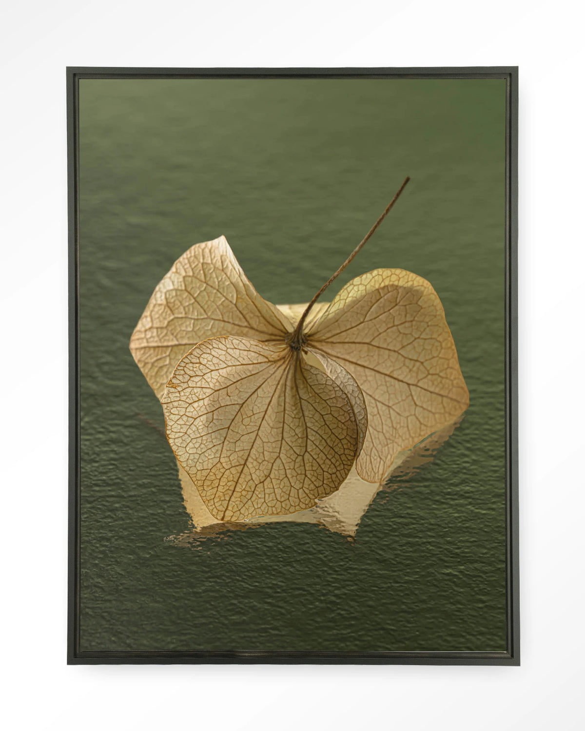 Leaf Me: In The Green – gedroogd blad op groene achtergrond – Wandkleed – Floating frame – zwart