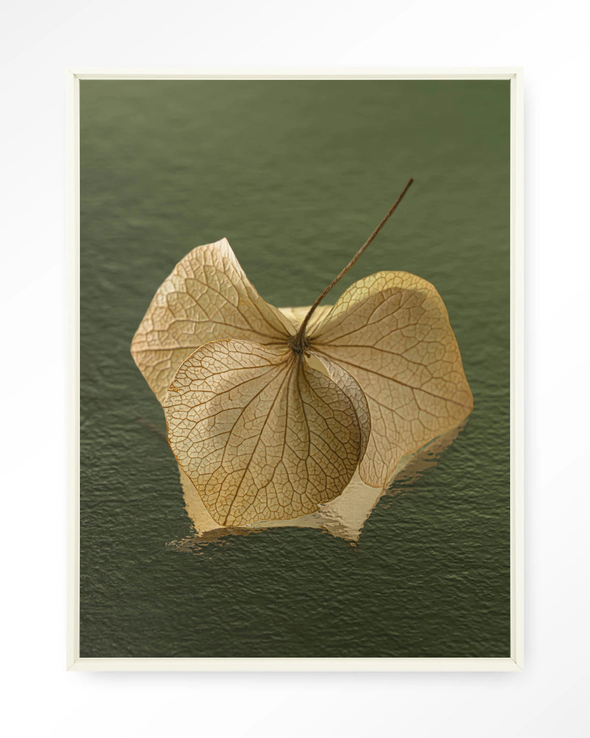 Leaf Me: In The Green – gedroogd blad op groene achtergrond – Wandkleed – Floating frame – wit