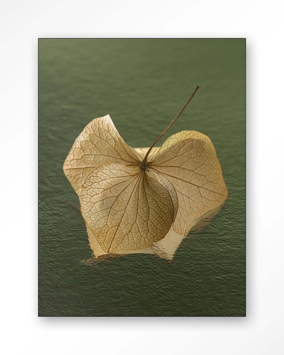 Leaf Me: In The Green – gedroogd blad op groene achtergrond – Wandkleed – Frame – zwart