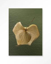 Leaf Me: In The Green – Art Print