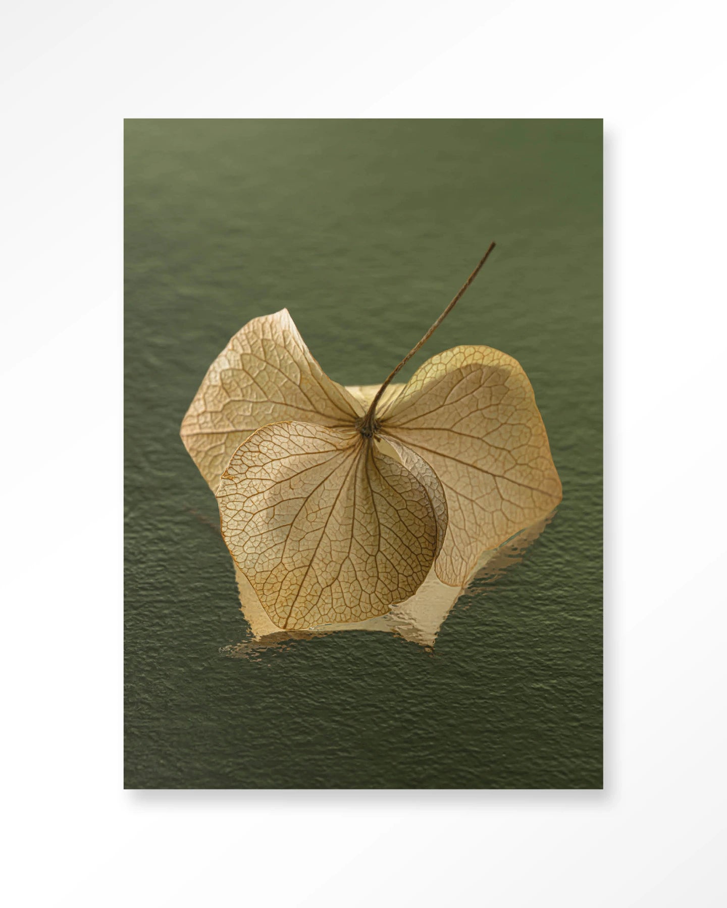 Leaf Me: In The Green – Wandkleed