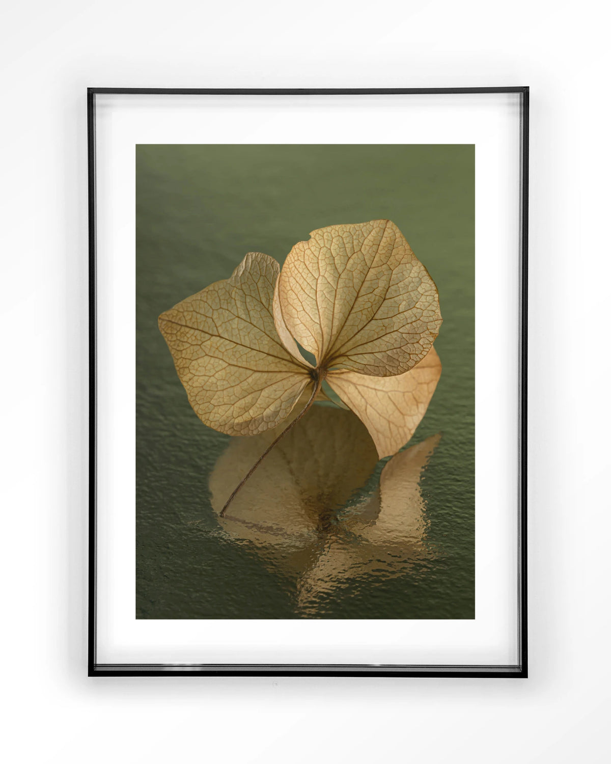 Leaf Me: In Reflection – blad in weerspiegeling groen – Art print – Acryl zwart