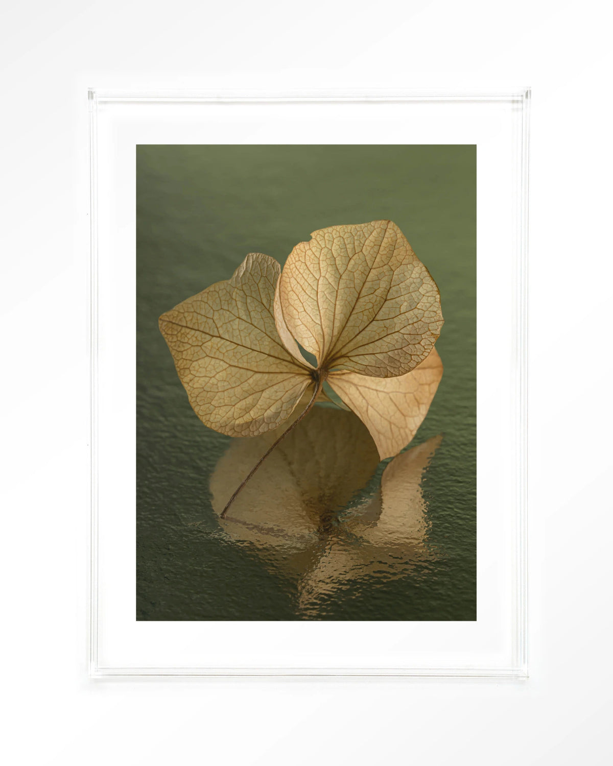 Leaf Me: In Reflection – blad in weerspiegeling groen – Art print – Acryl doorzichtig