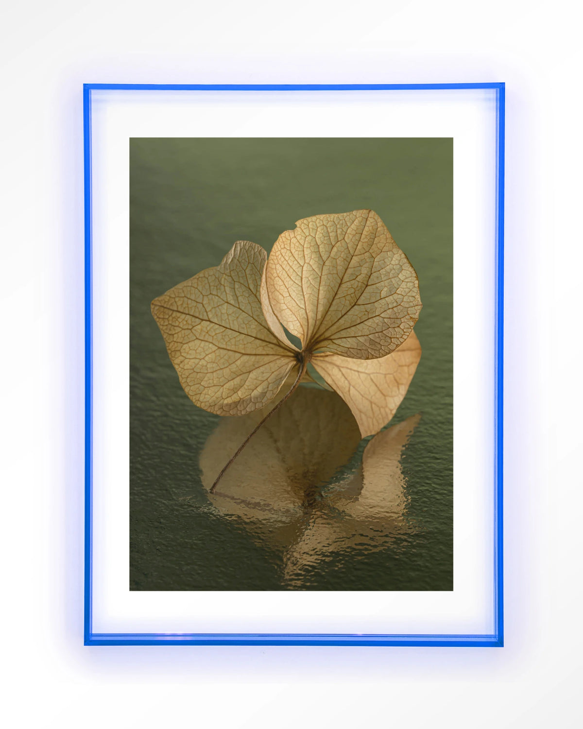Leaf Me: In Reflection – blad in weerspiegeling groen – Art print – Acryl lichtblauw