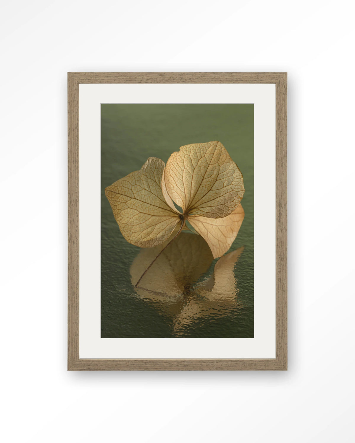 Leaf Me: In Reflection – blad in weerspiegeling groen – Art print – Hout bruin + passe-partout
