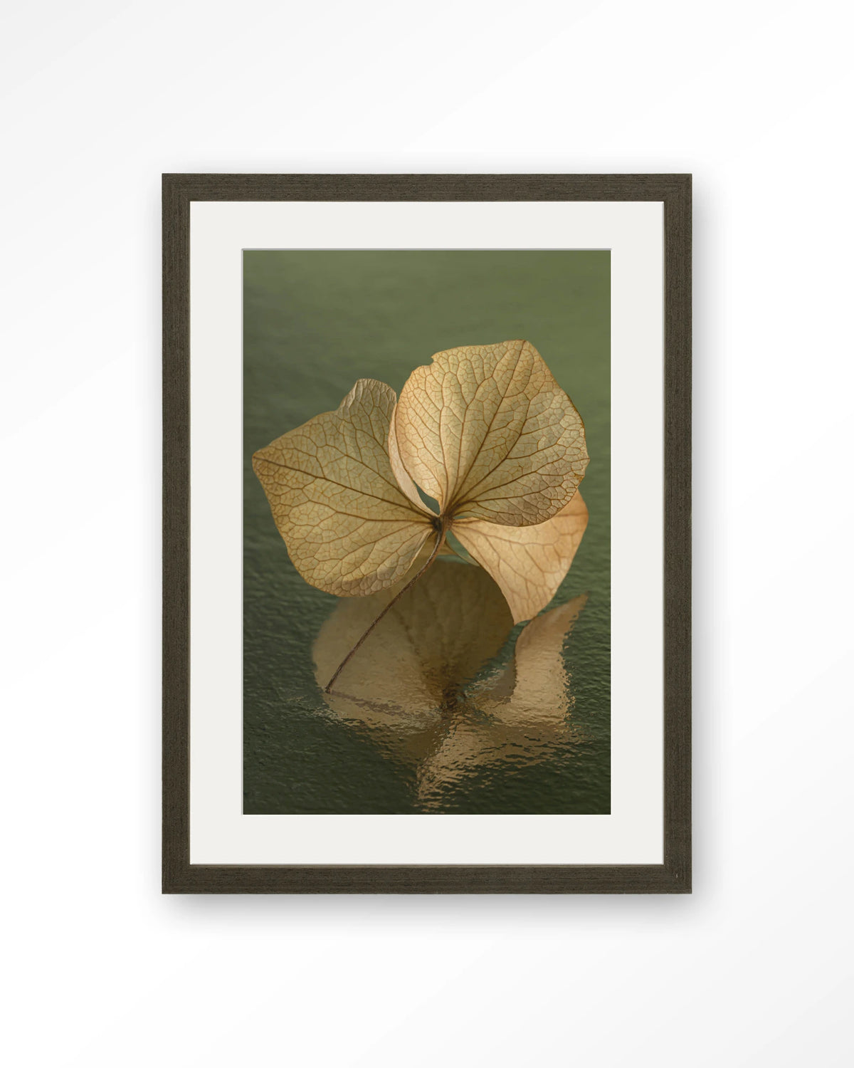 Leaf Me: In Reflection – blad in weerspiegeling groen – Art print – Hout donkerbruin + passe-partout