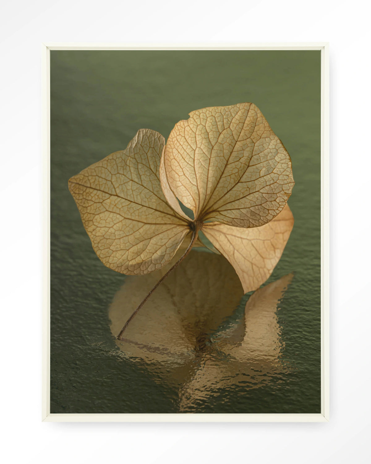 Leaf Me: In Reflection – blad in weerspiegeling groen – Wandkleed – Floating frame – wit