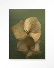 Leaf Me: In Reflection – Glasschilderij