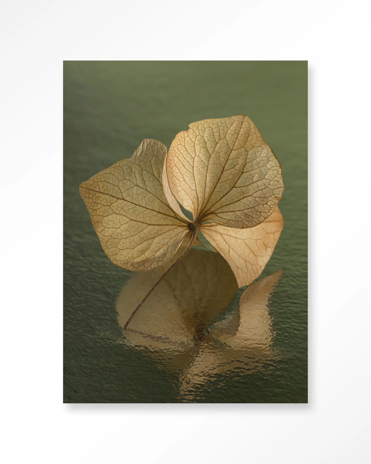 Leaf Me: In Reflection – Wandkleed