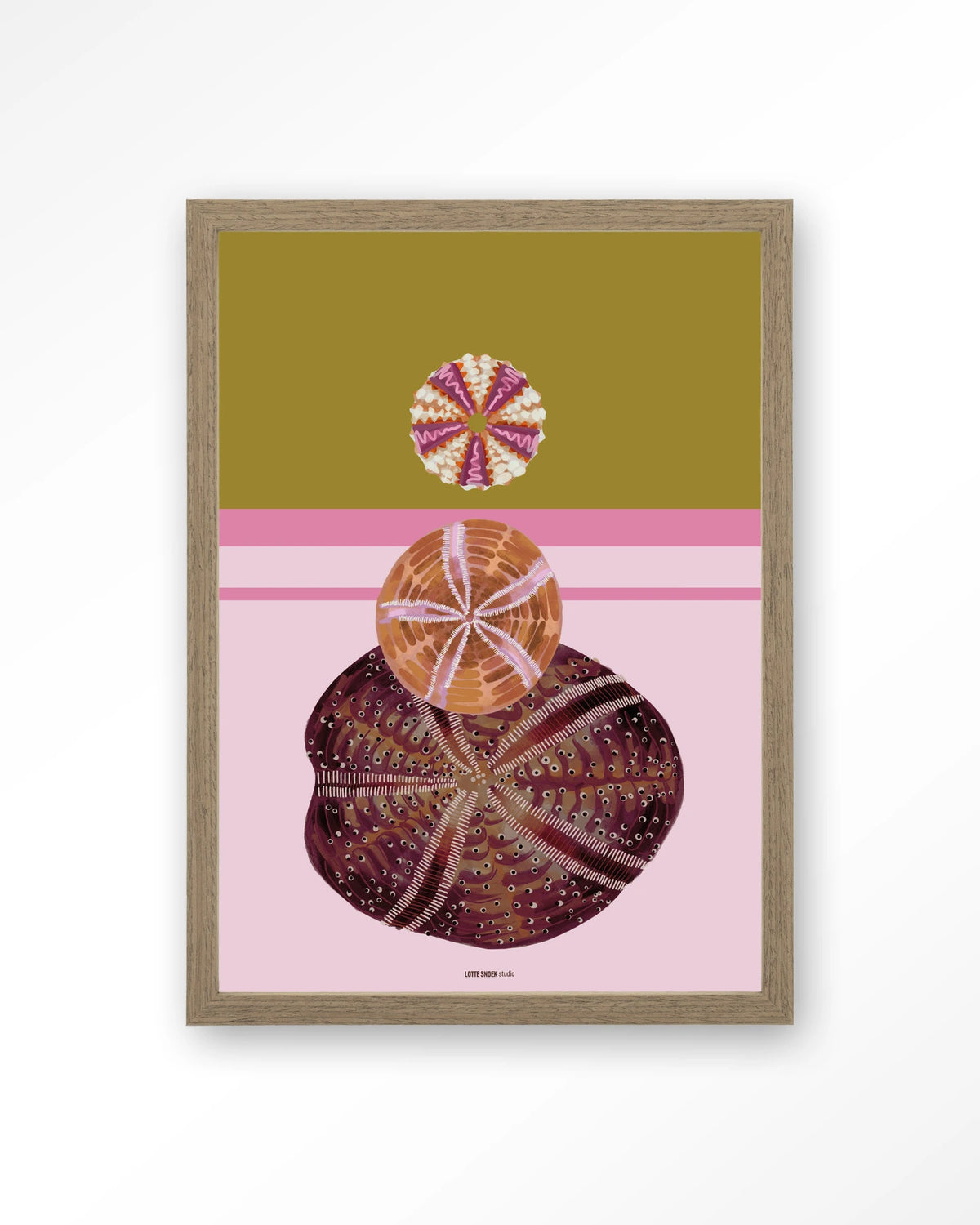 Marinus 3 – zee-egels op roze achtergrond – Art print – Hout bruin