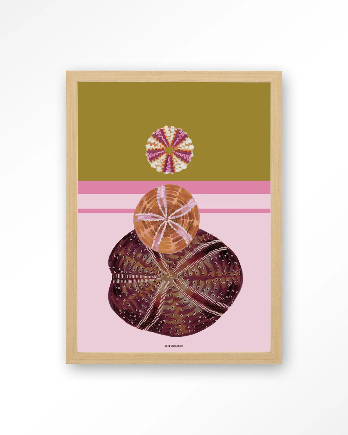 Marinus 3 – zee-egels op roze achtergrond – Art print – Hout naturel