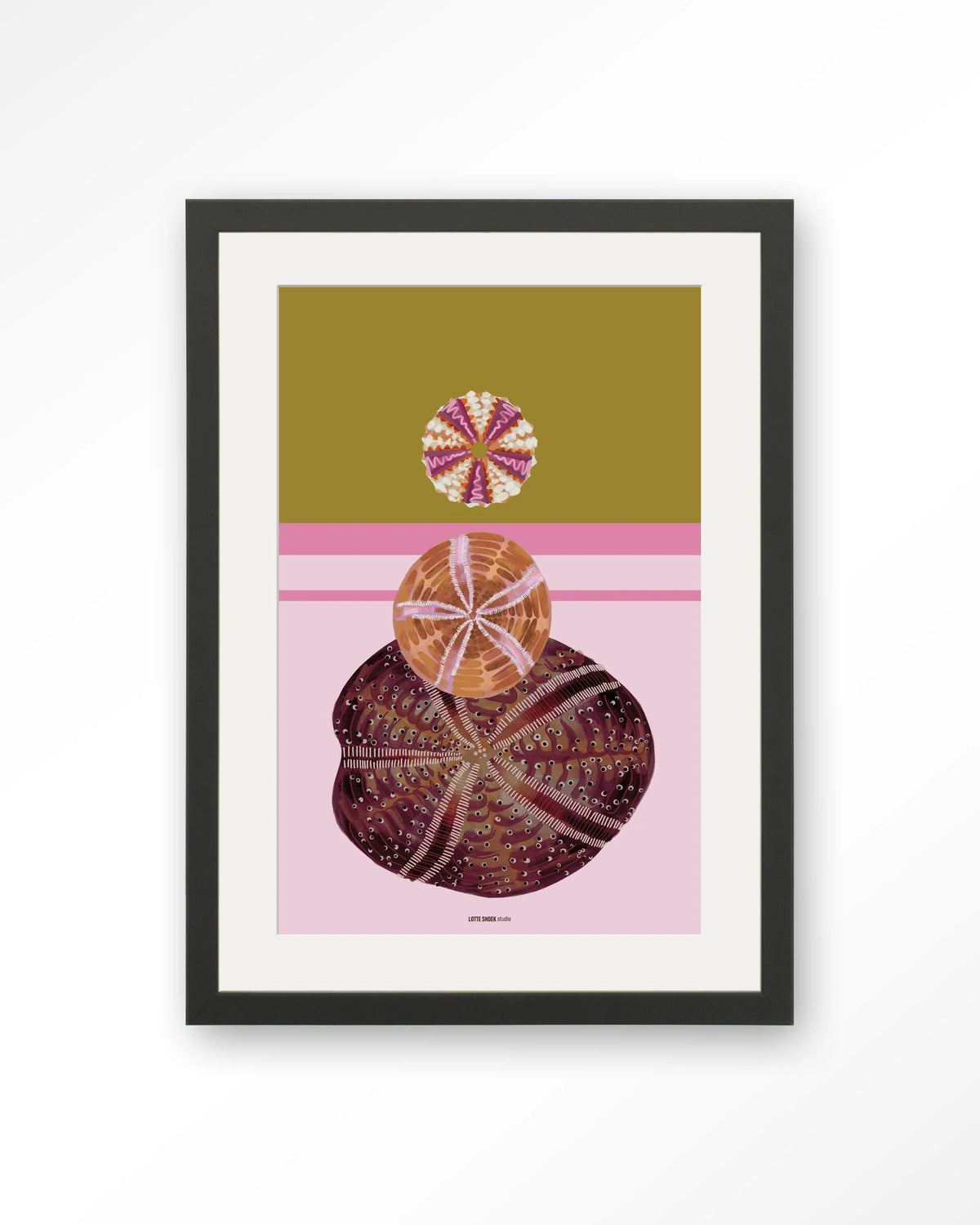 Marinus 3 – zee-egels op roze achtergrond – Art print – Hout zwart + passe-partout