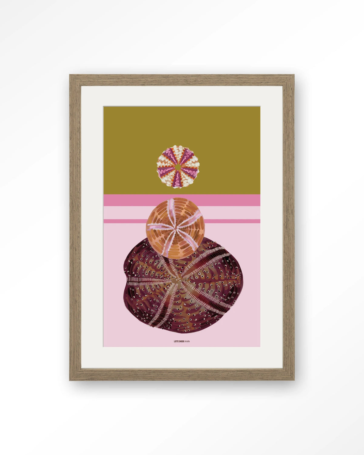 Marinus 3 – zee-egels op roze achtergrond – Art print – Hout bruin + passe-partout