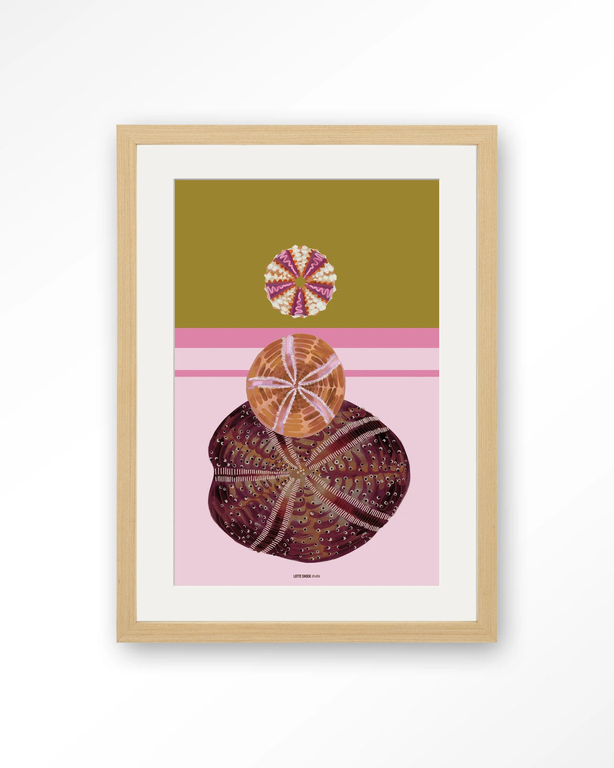 Marinus 3 – zee-egels op roze achtergrond – Art print – Hout naturel + passe-partout