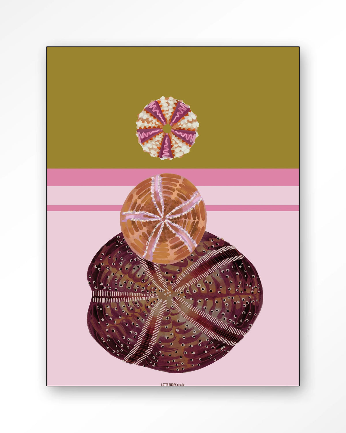 Marinus 3 – zee-egels op roze achtergrond – Wandkleed – Frame – zwart