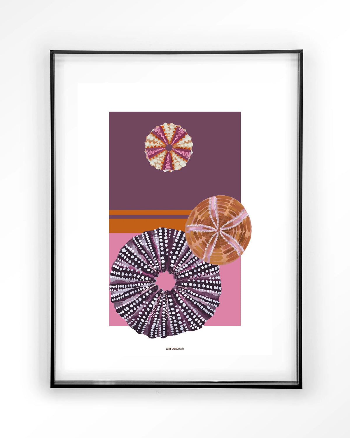 Marinus 2 – zee-egels in paars en roze – Art print – Acryl zwart