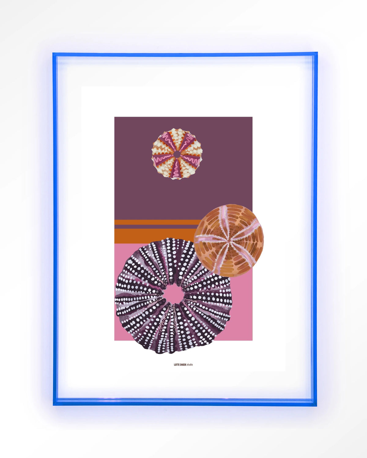 Marinus 2 – zee-egels in paars en roze – Art print – Acryl lichtblauw