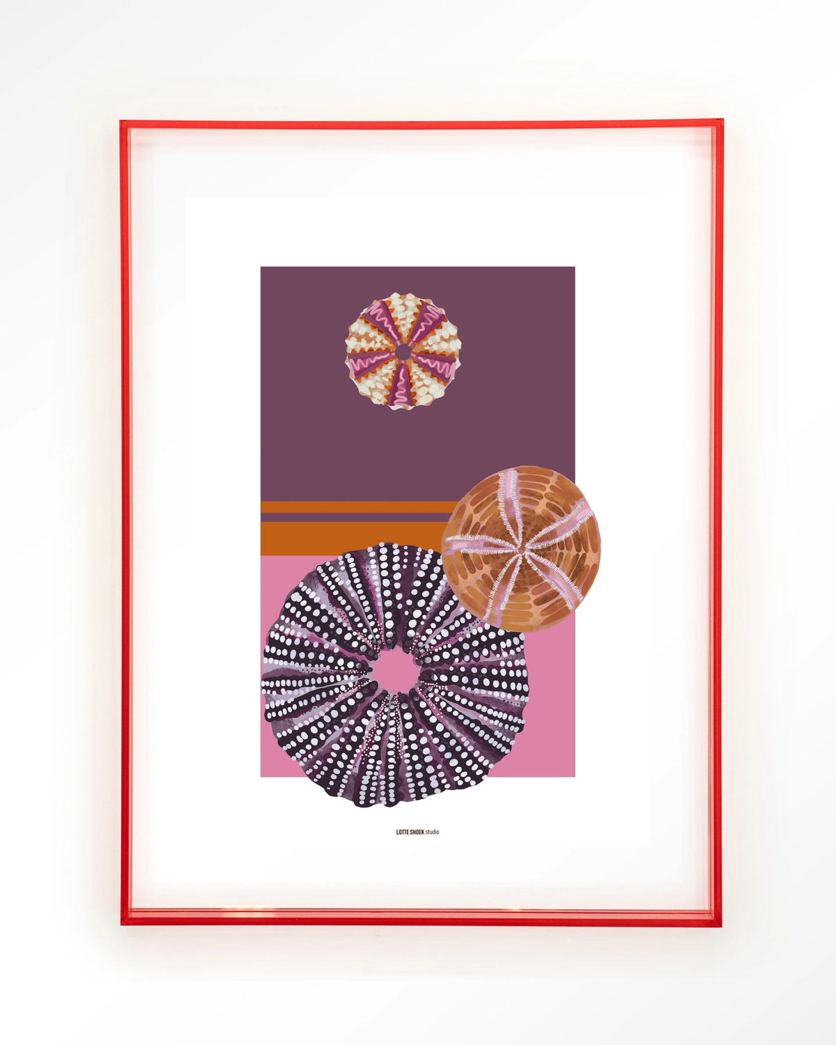 Marinus 2 – zee-egels in paars en roze – Art print – Acryl roze