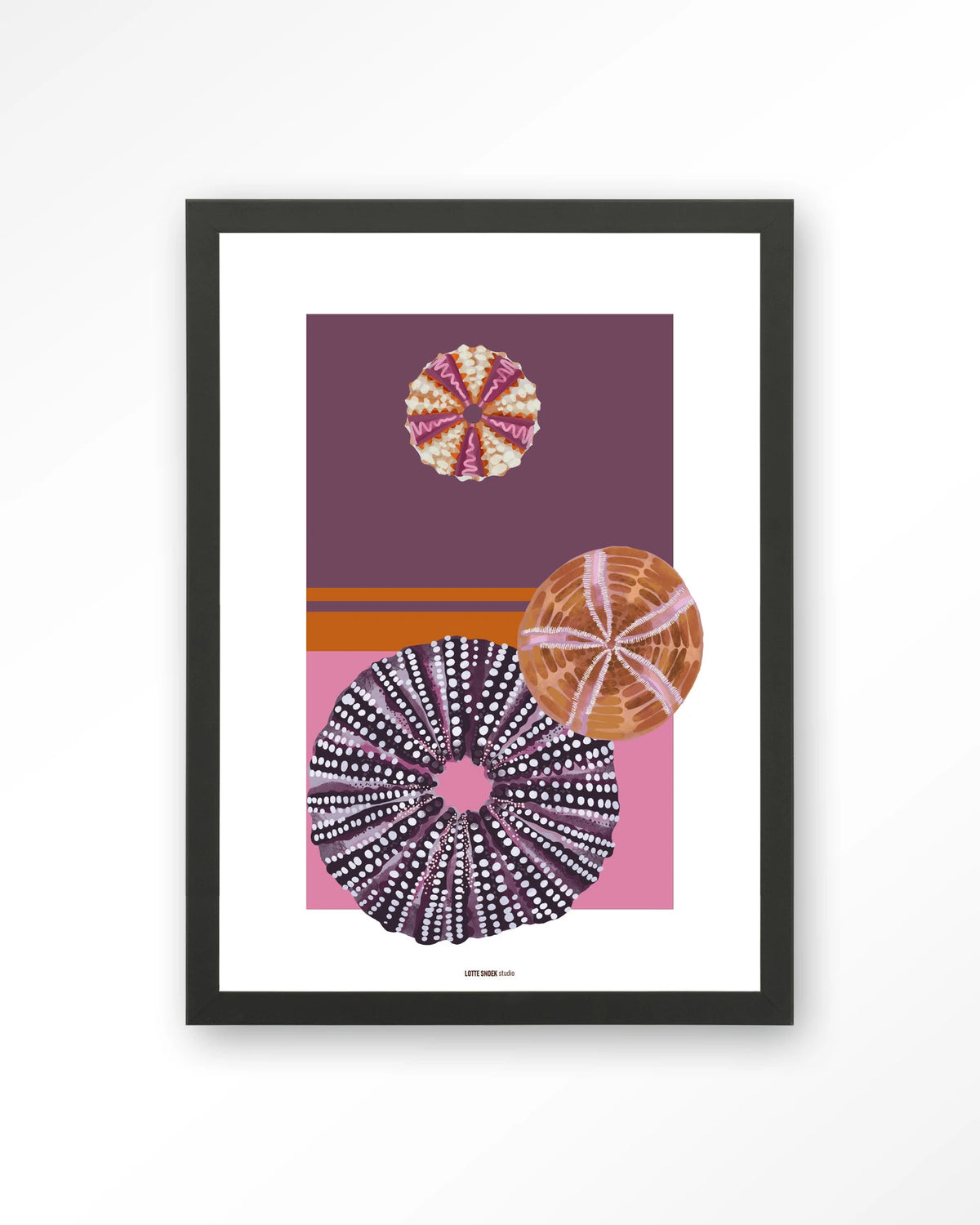 Marinus 2 – zee-egels in paars en roze – Art print – Hout zwart