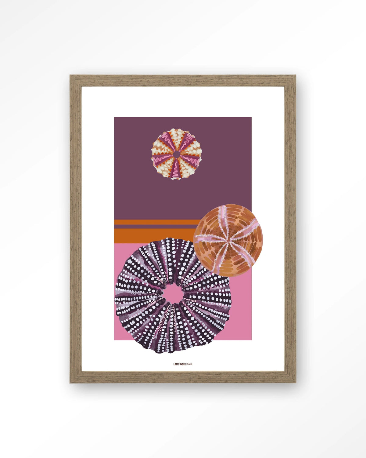 Marinus 2 – zee-egels in paars en roze – Art print – Hout bruin