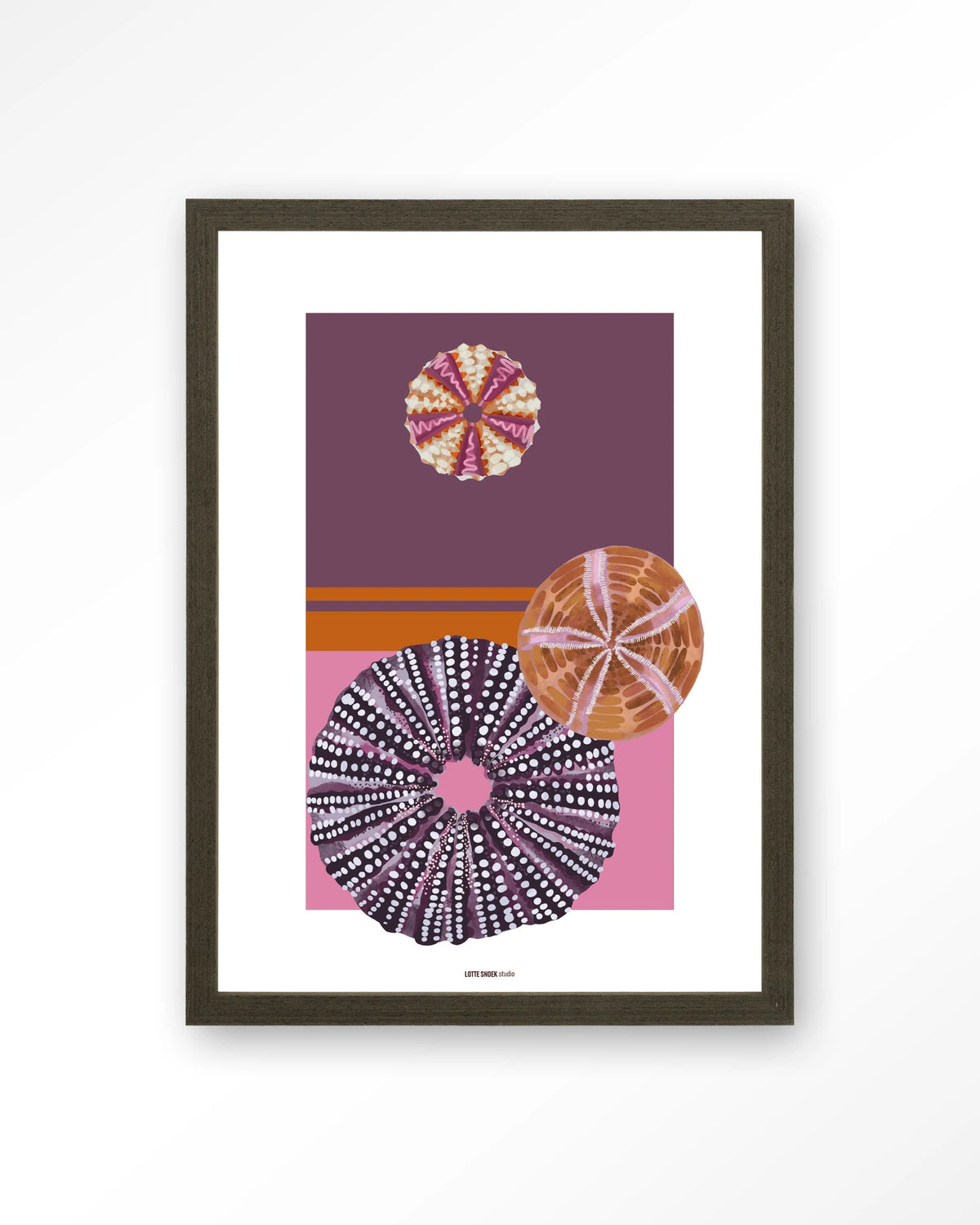 Marinus 2 – zee-egels in paars en roze – Art print – Hout donkerbruin