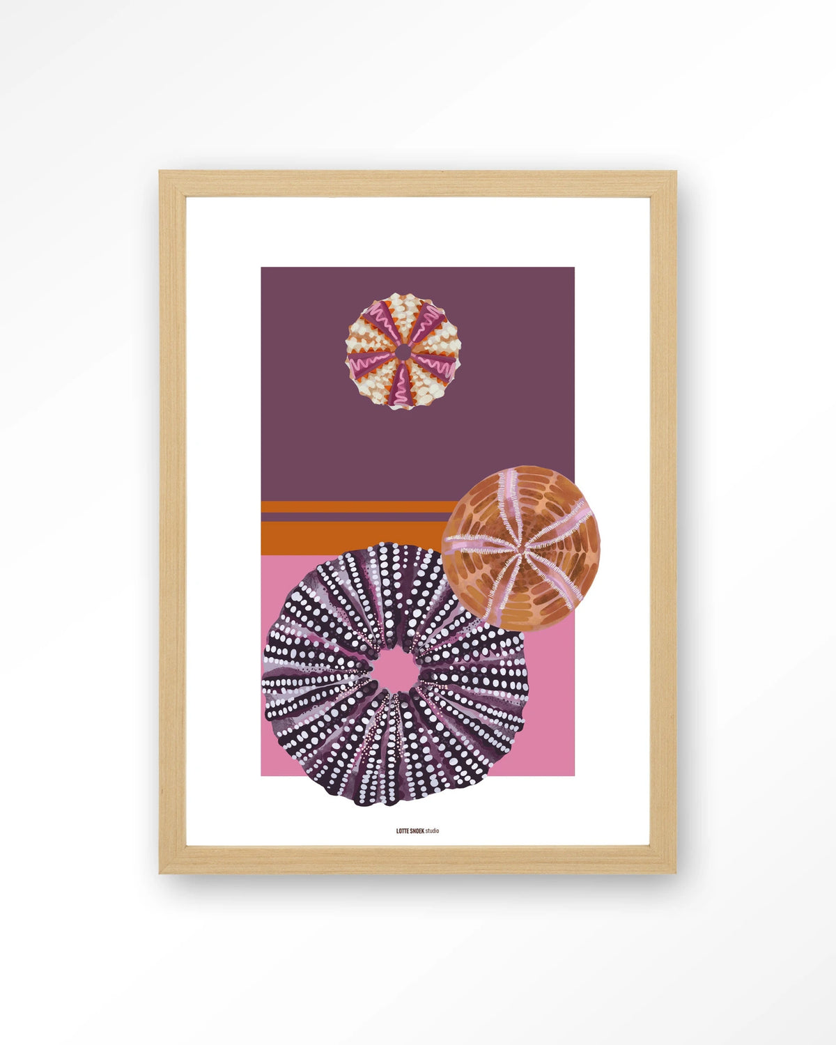 Marinus 2 – zee-egels in paars en roze – Art print – Hout naturel