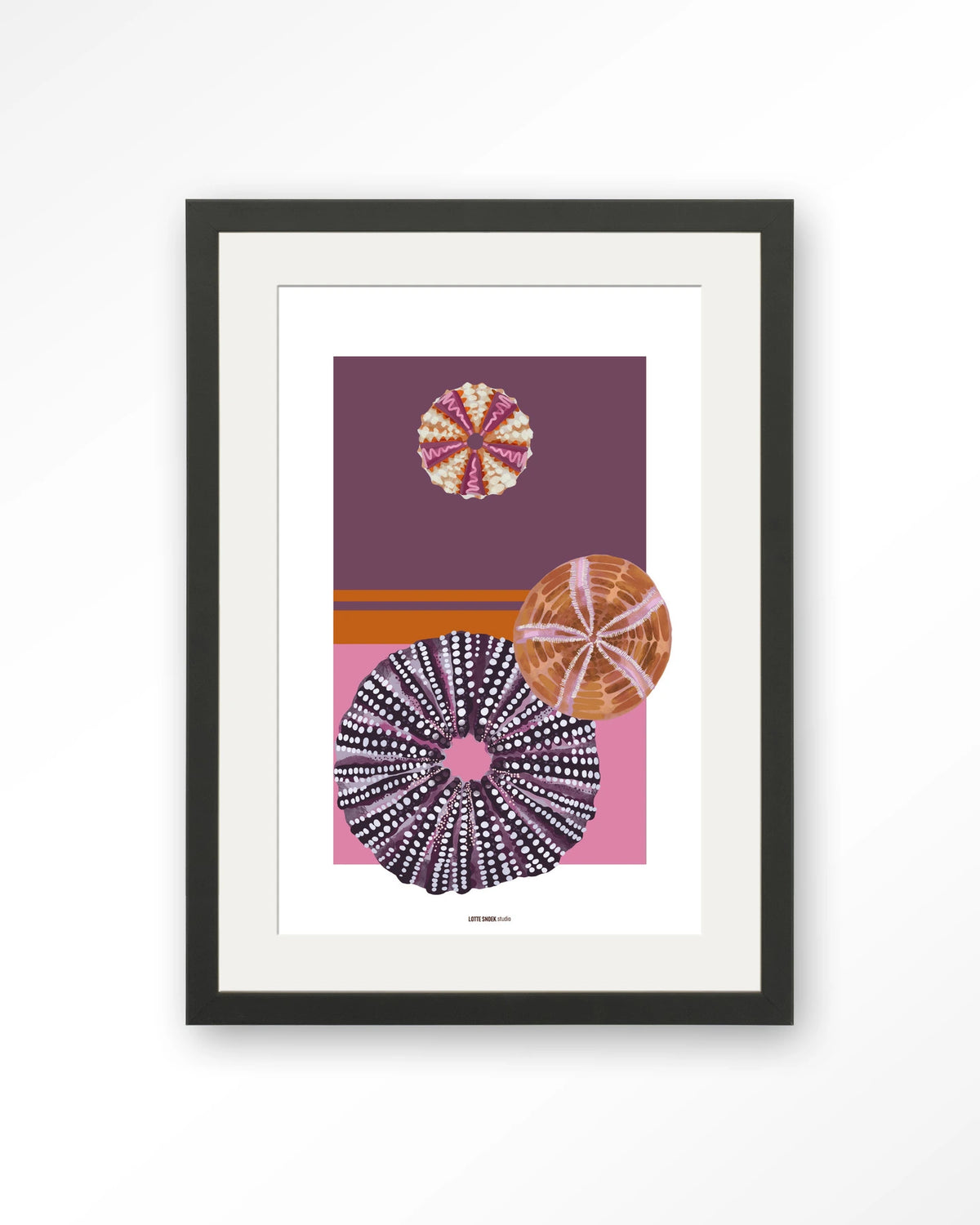 Marinus 2 – zee-egels in paars en roze – Art print – Hout zwart + passe-partout