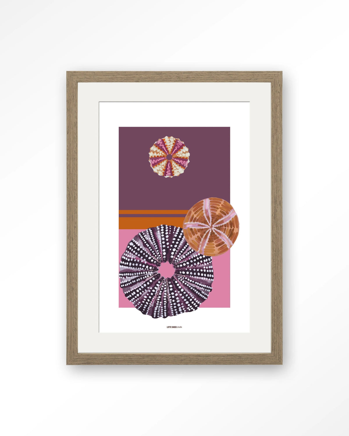 Marinus 2 – zee-egels in paars en roze – Art print – Hout bruin + passe-partout