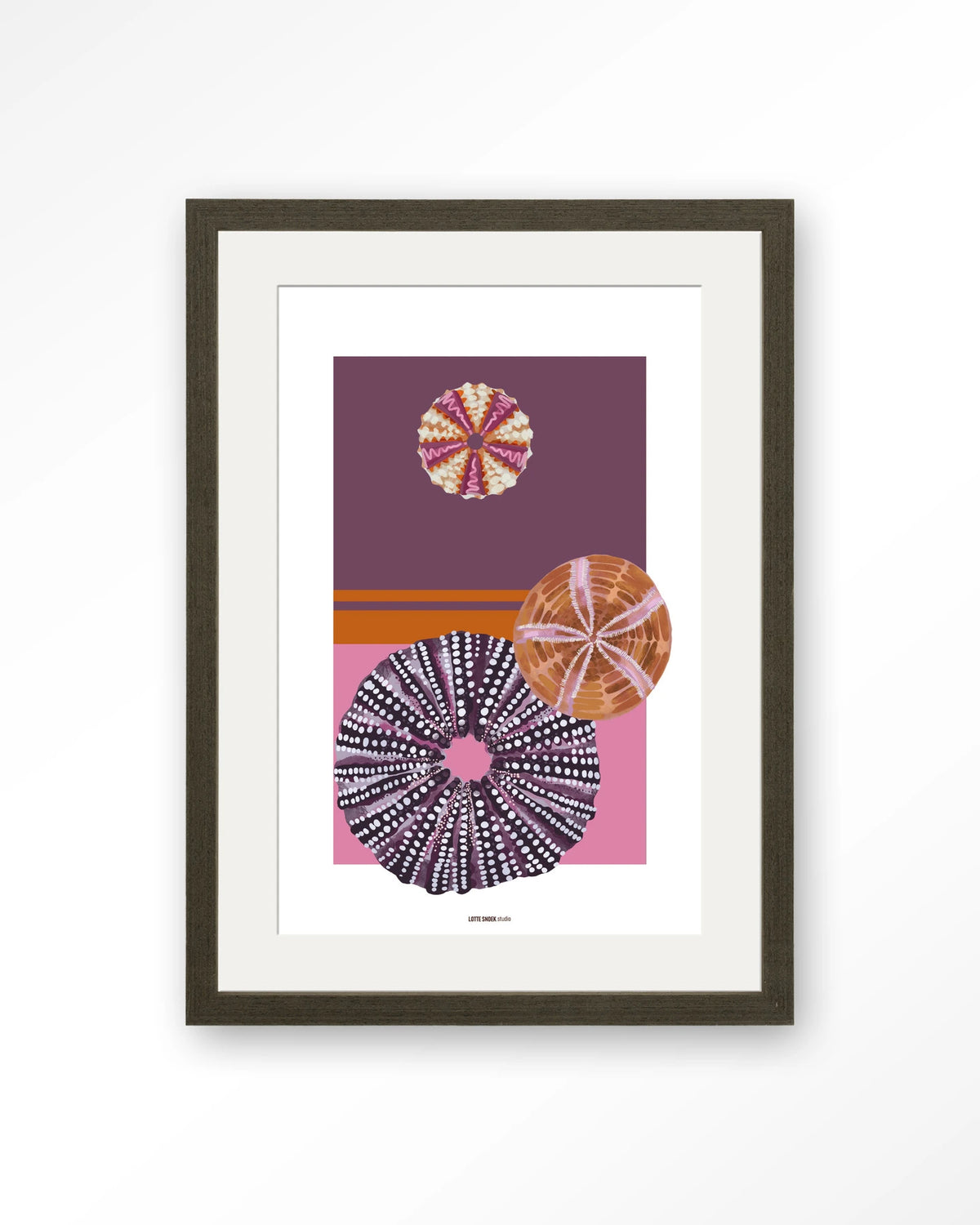 Marinus 2 – zee-egels in paars en roze – Art print – Hout donkerbruin + passe-partout