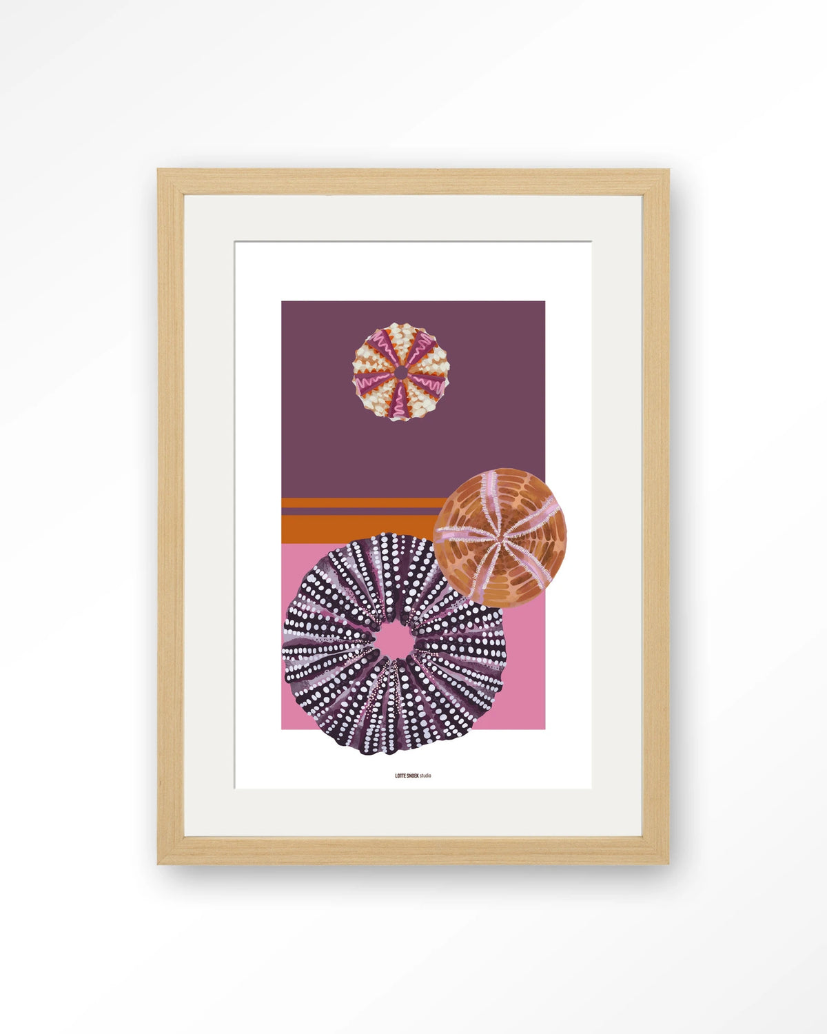 Marinus 2 – zee-egels in paars en roze – Art print – Hout naturel + passe-partout