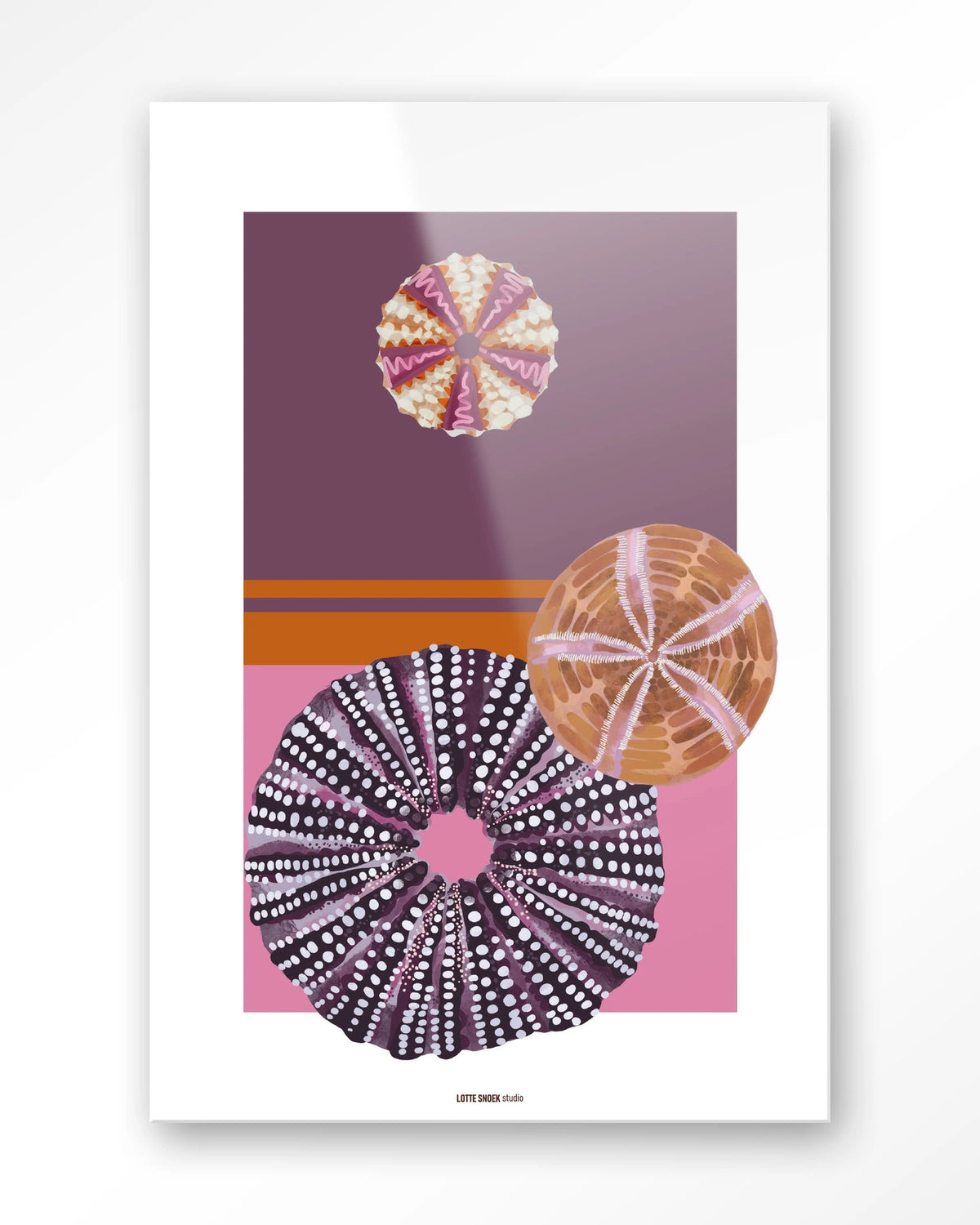 Marinus 2 – zee-egels in paars en roze – Glas – Blinde montage
