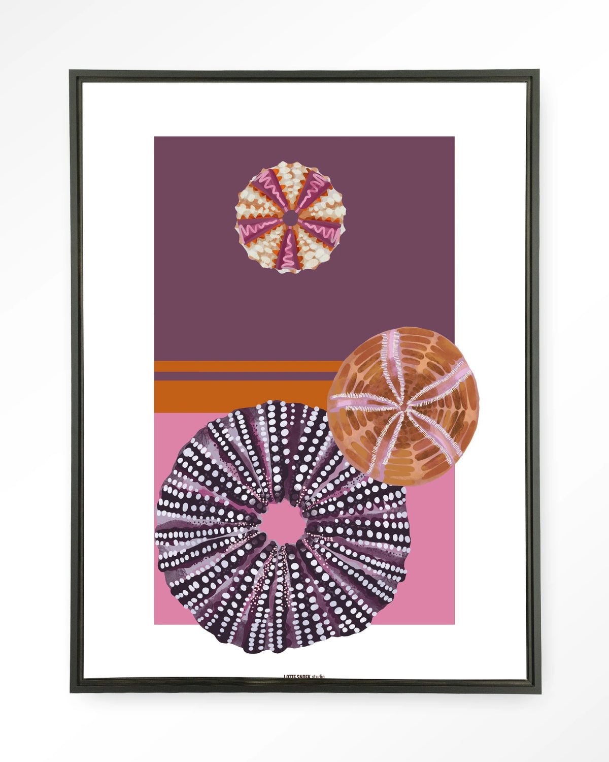 Marinus 2 – zee-egels in paars en roze – Wandkleed – Floating frame – zwart