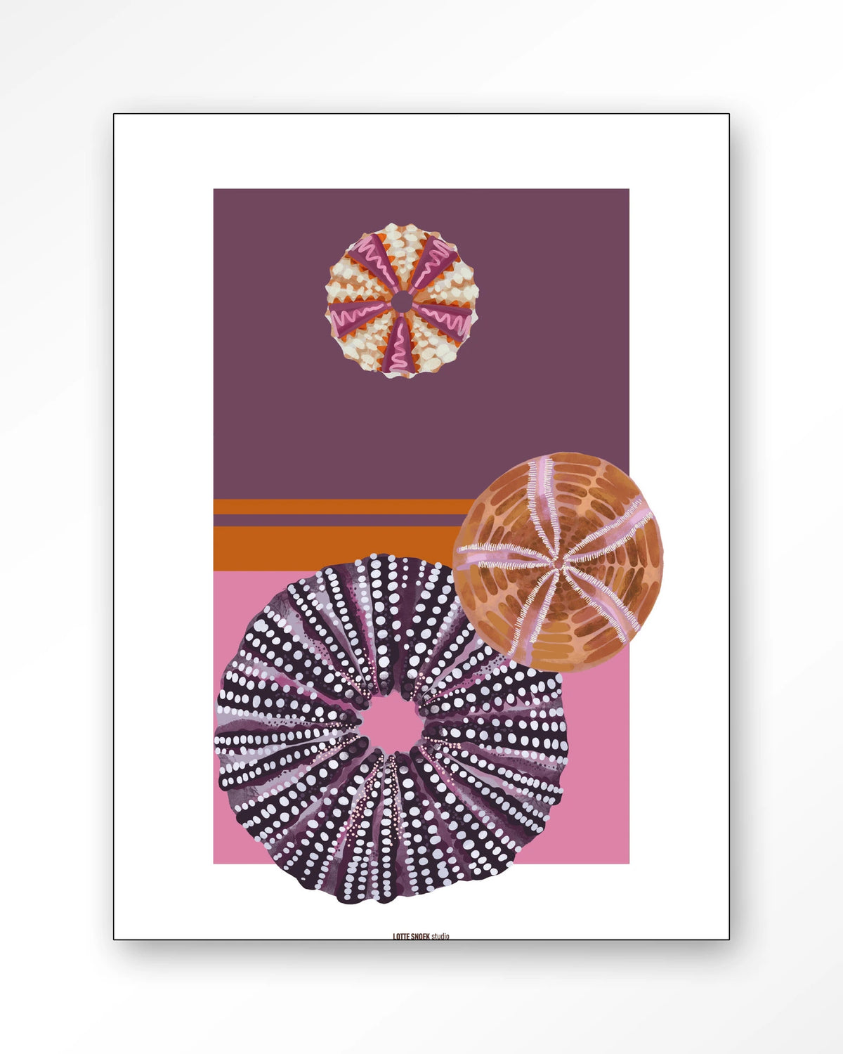 Marinus 2 – zee-egels in paars en roze – Wandkleed – Frame – zwart