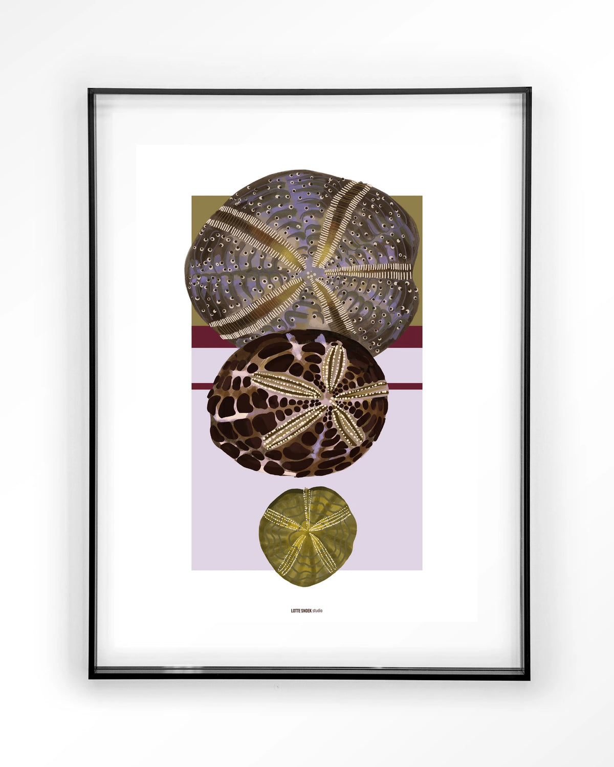 Marinus 1 – zee-egels in botanische stijl – Art print – Acryl zwart