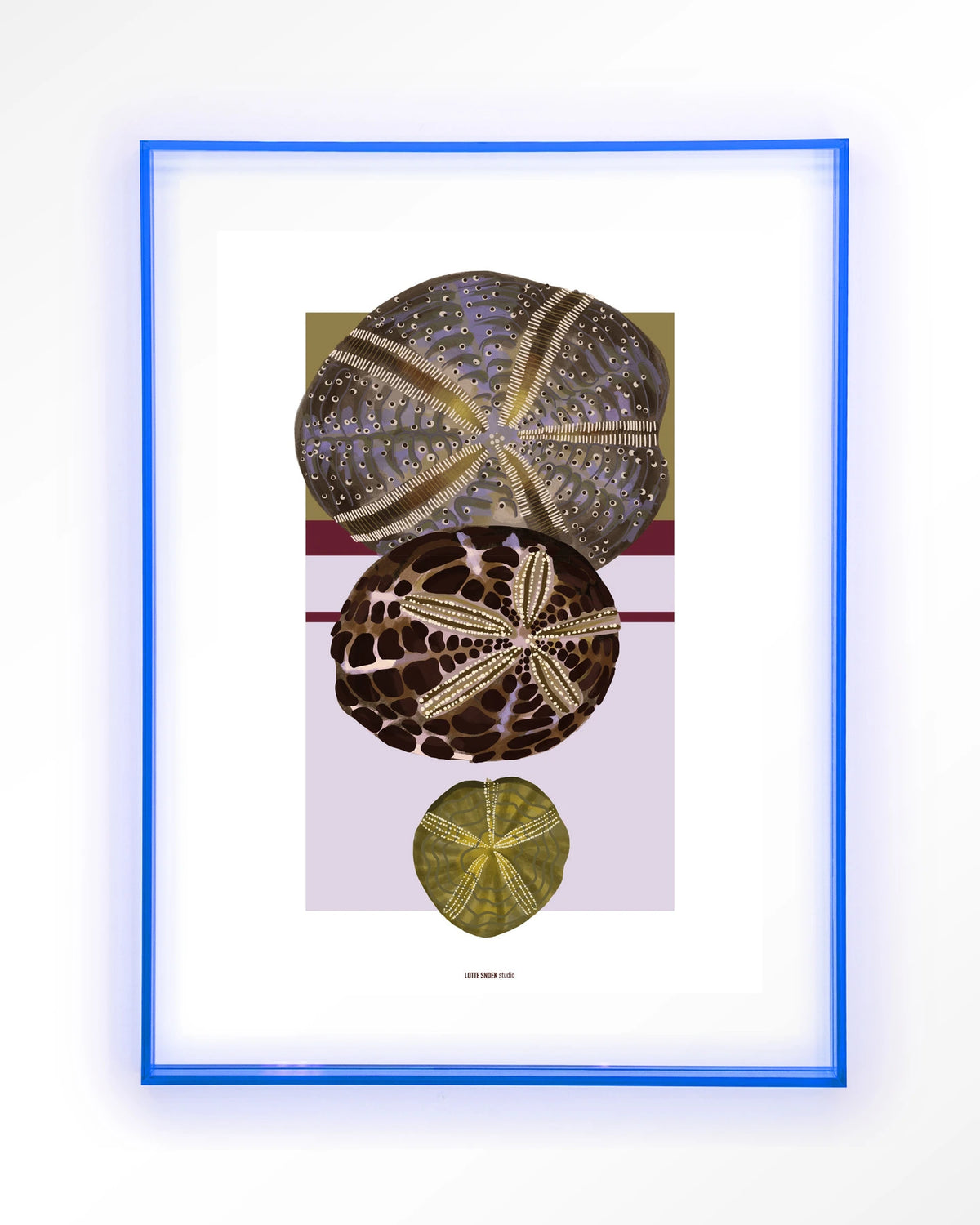 Marinus 1 – zee-egels in botanische stijl – Art print – Acryl lichtblauw