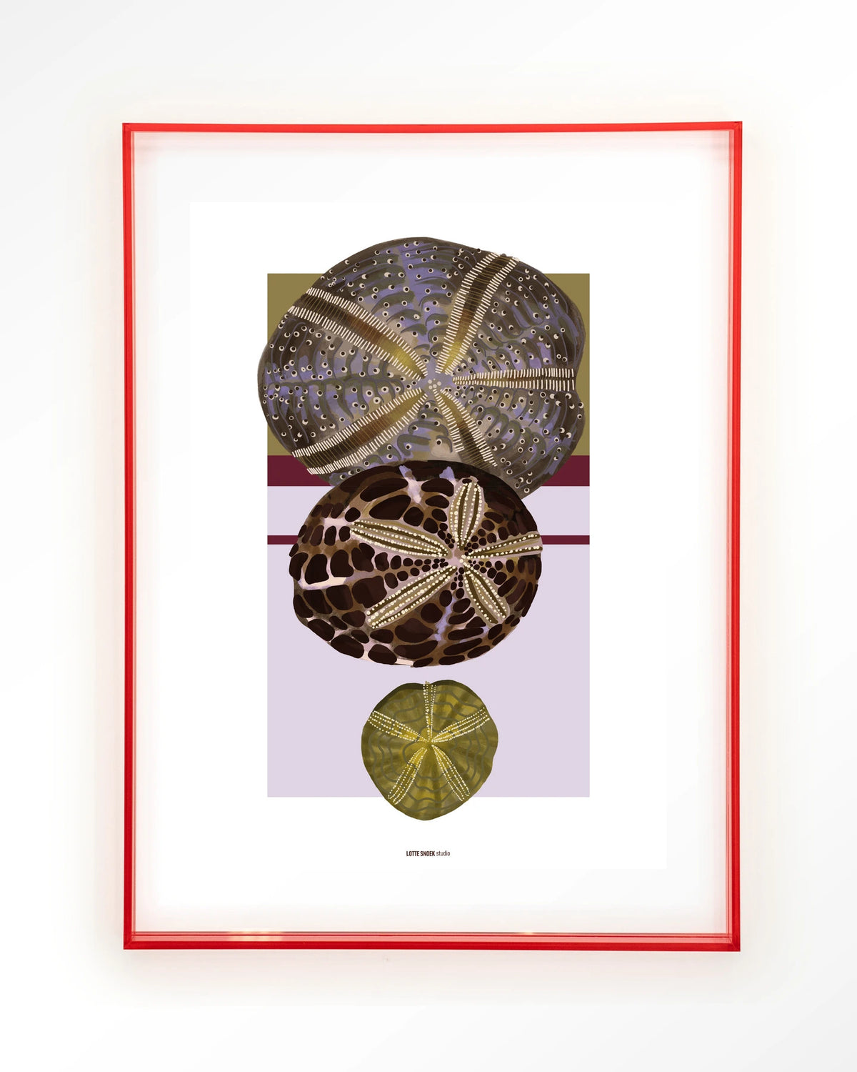 Marinus 1 – zee-egels in botanische stijl – Art print – Acryl roze
