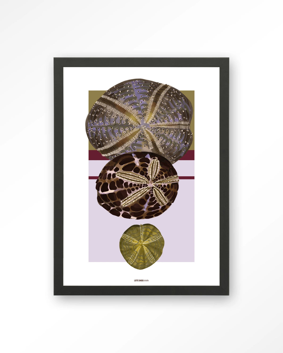 Marinus 1 – zee-egels in botanische stijl – Art print – Hout zwart