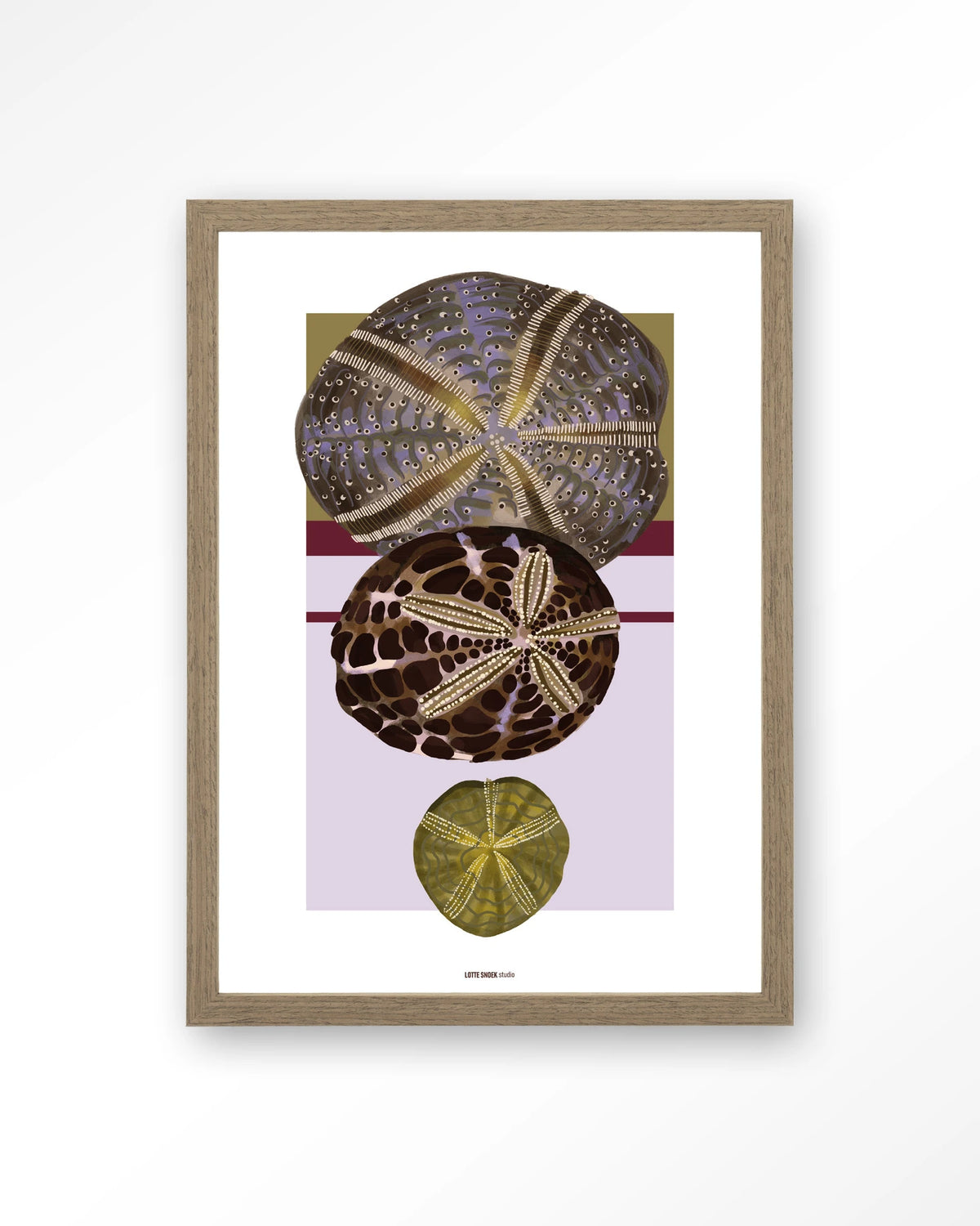 Marinus 1 – zee-egels in botanische stijl – Art print – Hout bruin