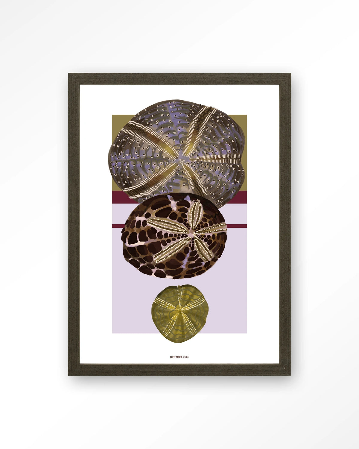 Marinus 1 – zee-egels in botanische stijl – Art print – Hout donkerbruin