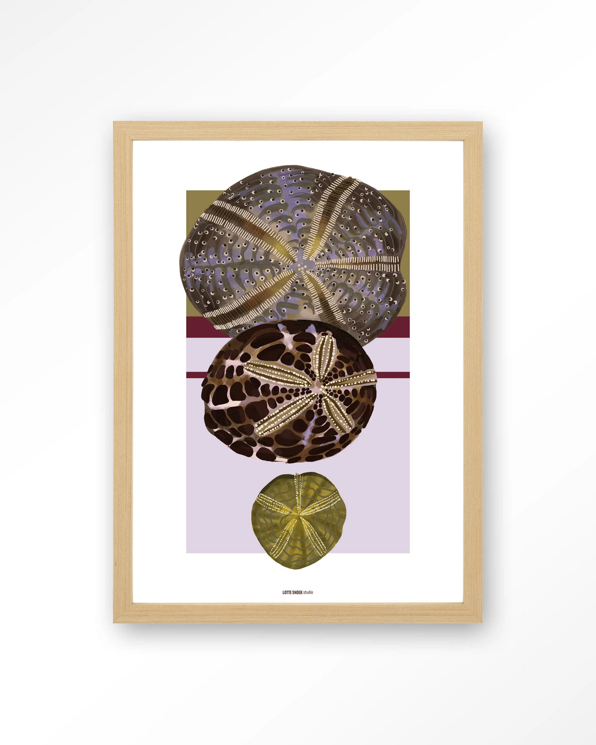 Marinus 1 – zee-egels in botanische stijl – Art print – Hout naturel