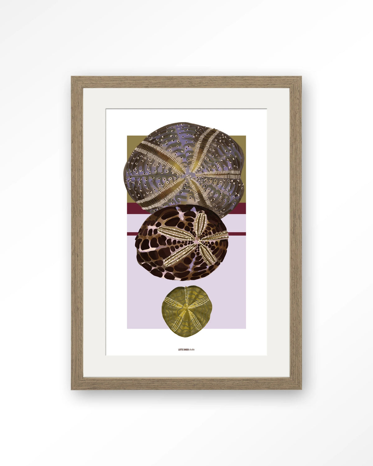 Marinus 1 – zee-egels in botanische stijl – Art print – Hout bruin + passe-partout