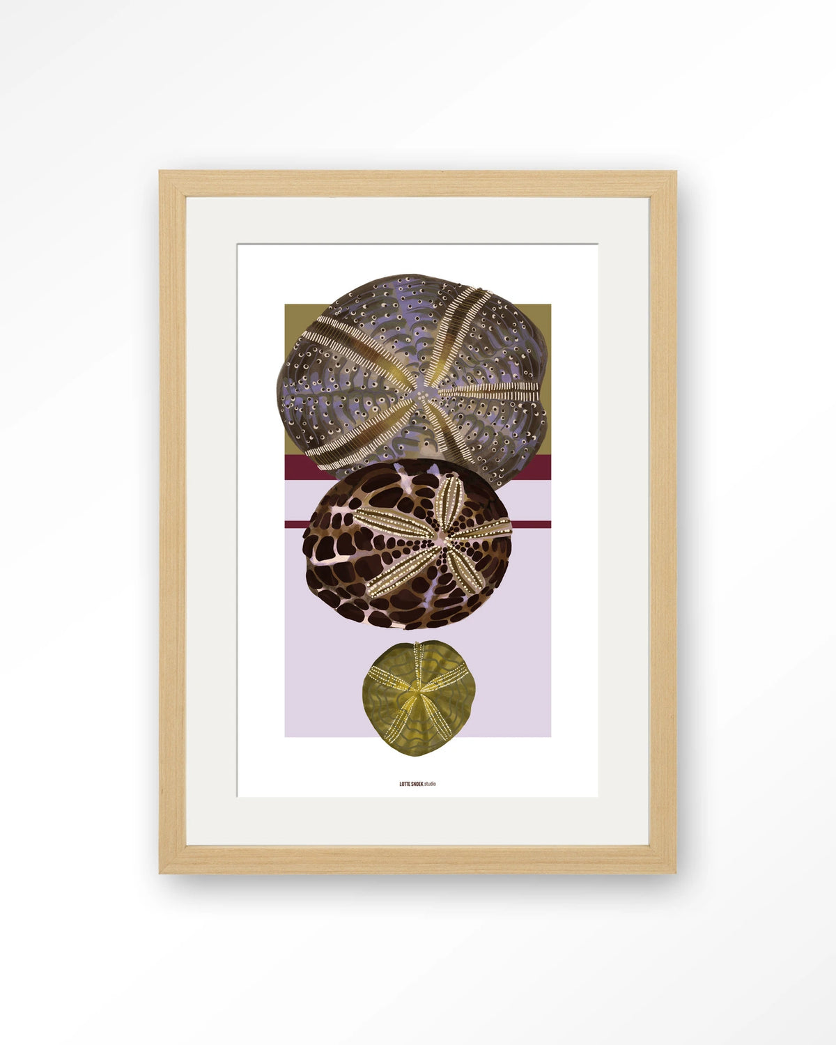 Marinus 1 – zee-egels in botanische stijl – Art print – Hout naturel + passe-partout