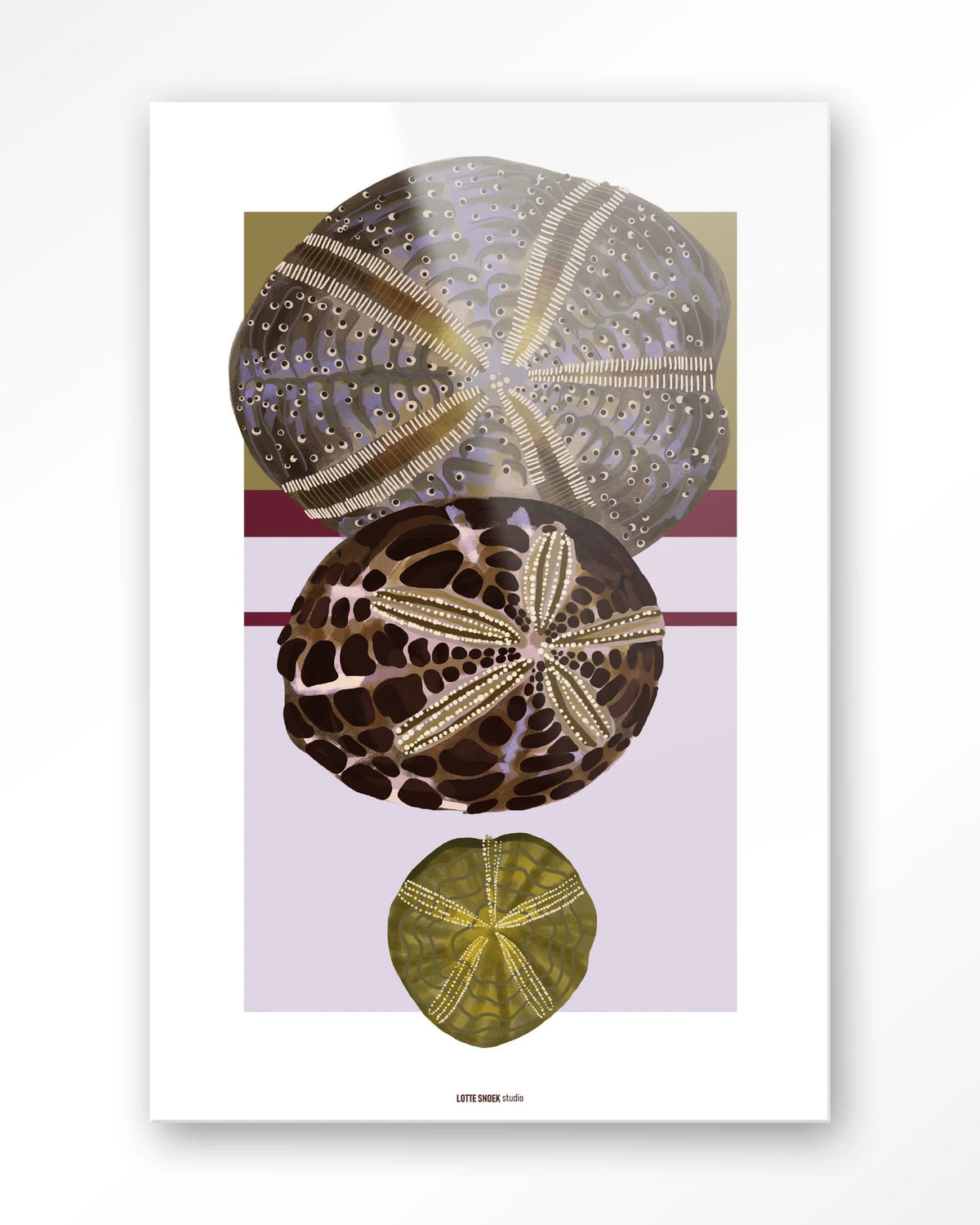 Marinus 1 – zee-egels in botanische stijl – Glas – Blinde montage