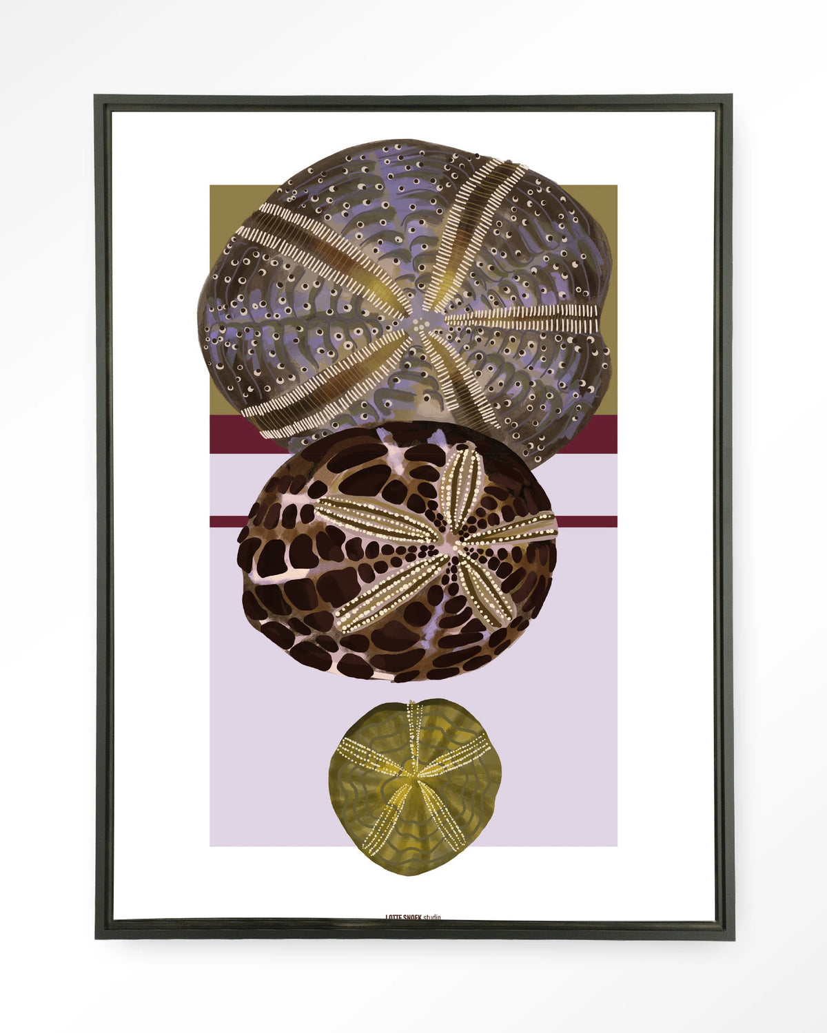 Marinus 1 – zee-egels in botanische stijl – Wandkleed – Floating frame – zwart