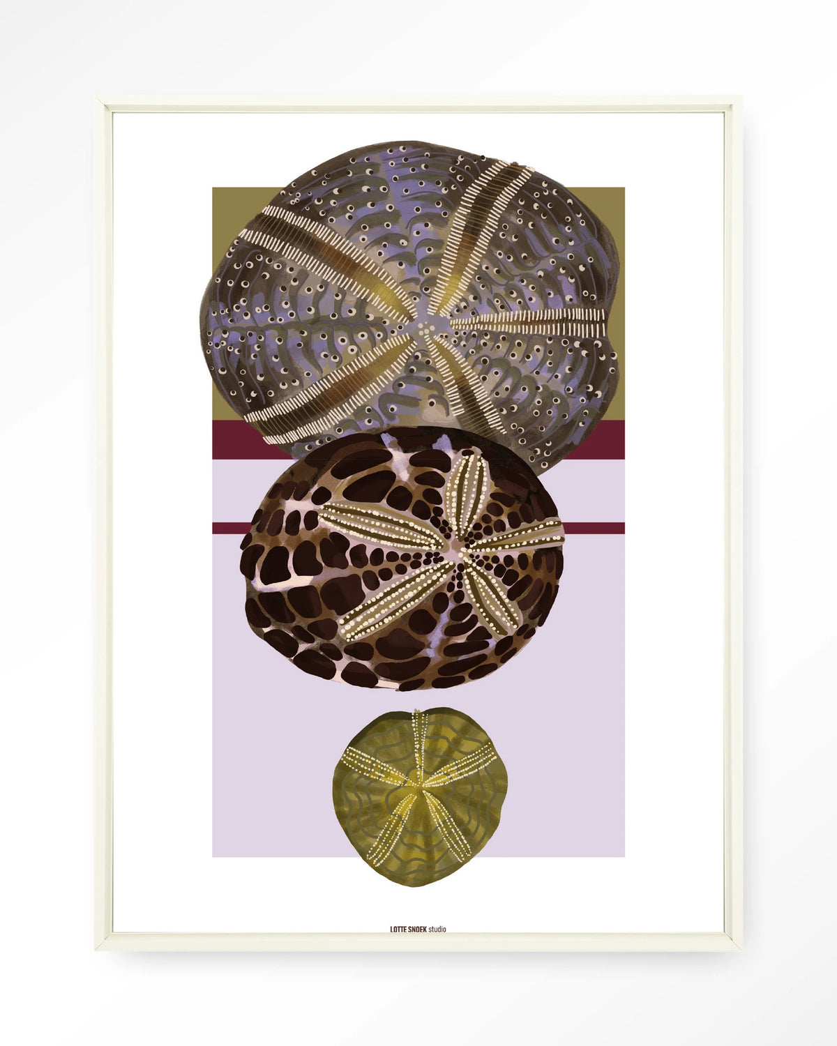Marinus 1 – zee-egels in botanische stijl – Wandkleed – Floating frame – wit