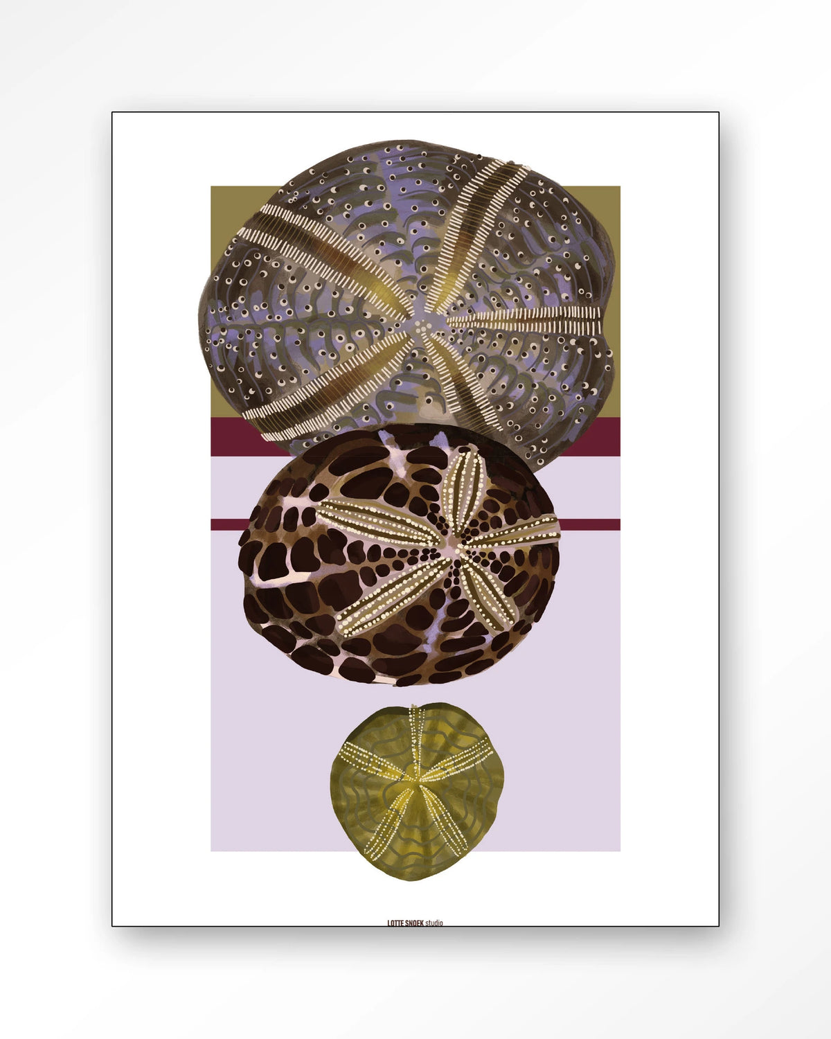 Marinus 1 – zee-egels in botanische stijl – Wandkleed – Frame – zwart