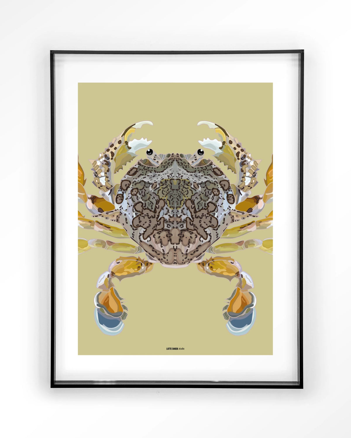 Matuta – krab op gele achtergrond – Art print – Acryl zwart